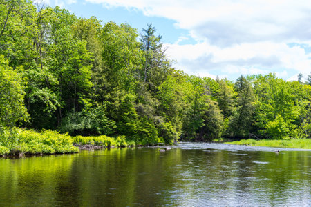 View of the Sebasticook River in Pittsfield Maine on a late spring morning.の写真素材