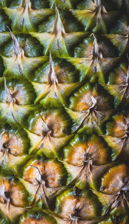 Close up image of a pineapple, showing the texture of the rough skin.の写真素材