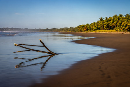 Deserted beach in Costa Rica during low tide. Shallow water reflects driftwood that is sticking out of the sand creating a contrast to the smooth texture of the beach.の写真素材