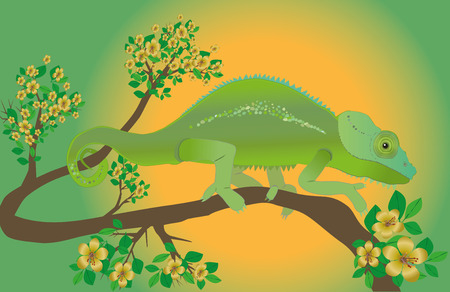 An illustration of a chameleonのイラスト素材