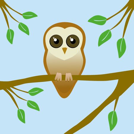 Cute barn owlのイラスト素材