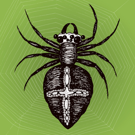 Spiderのイラスト素材