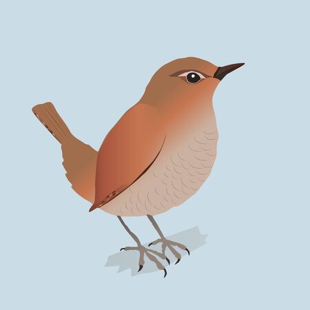 Wrenのイラスト素材
