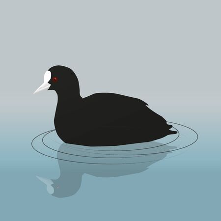 cootのイラスト素材