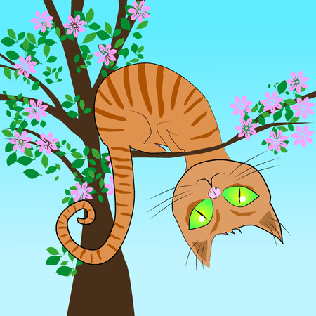 Red cat in a treeのイラスト素材