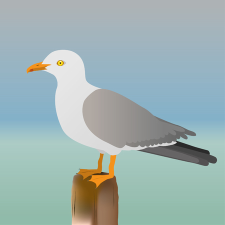 Seagull vector illustration on blue background.のイラスト素材