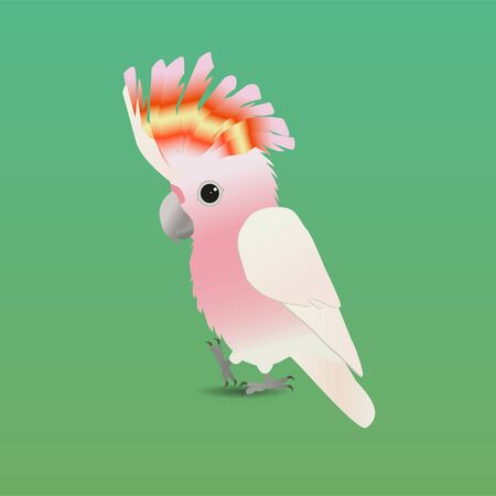 An illustration of a cute Major Mitchell's cockatooのイラスト素材