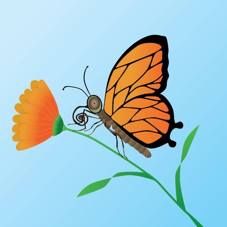 Orange butterfly on an orange flowerのイラスト素材