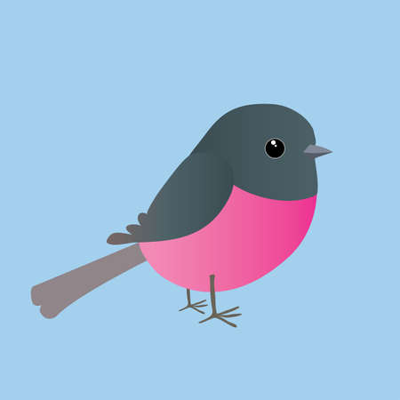 A cute pink robin comic illustration. Cut out on a blue background.のイラスト素材