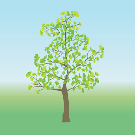 A young Ginkgo tree in a flat landscapeのイラスト素材