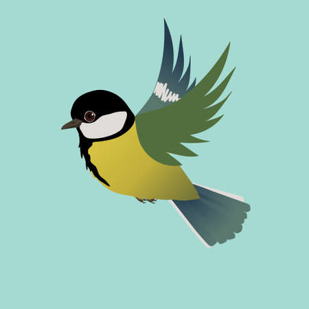 Flying great tit bird on a light blue backgroundのイラスト素材