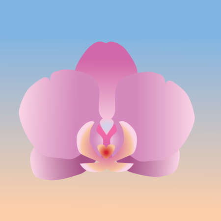 One single orchid flower. It is a pink flower head and the background is a blue and orange gradientのイラスト素材