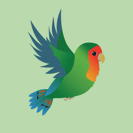 Flying green peach faced lovebird. The background is light green.