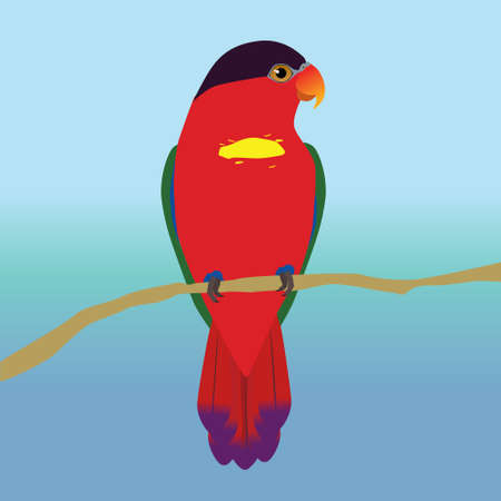 Purple-naped lory vector illustration. The bird is perched on a brown branch. You see the bird on his belly and he holds his head so that you can see an eye. Blue gradient background.のイラスト素材