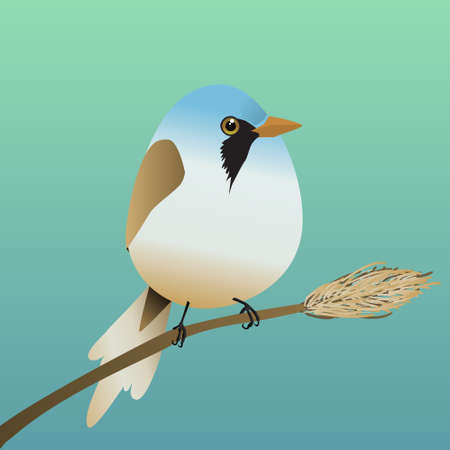 A very cute bearded reedling in the shape of an egg. Green blue gradient background. The bird sits on reed stalk.のイラスト素材
