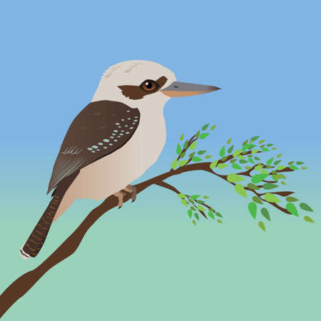 A vector illustration of a kookaburra. The bird is perched on a branch with some leafs. The background is a blue and green gradient.のイラスト素材