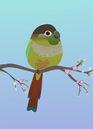 A very cute green cheek conure bird in the shape of an egg. Soft blue purple gradient background....