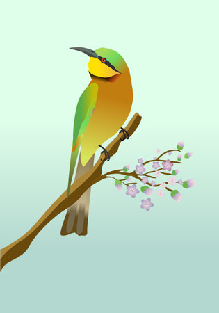 An illustration of a little bee eater. The bird is perched on a branch with some pink blossom.のイラスト素材