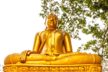 Buddha statue under tree at Phichit provinceの写真素材