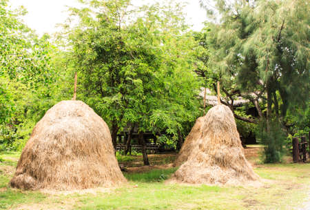 Pile of straw by product from rice field after collecting season in rural of Thailandの写真素材