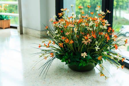 Flowers bouquet in the vase on the floor  Interior design  Vertical の写真素材
