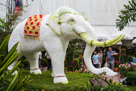 Nonthaburi, Thailand - june 2013 : Flower festival at Central Plaza Tiwanon branch Nonthaburi, Thailand on 21 june 3013. This elephant made from many orchid flowerのeditorial素材