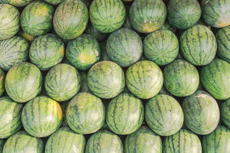 Stack of sweet green watermelonsの写真素材