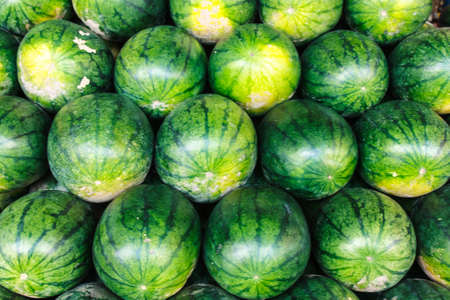Stack of sweet green watermelonsの写真素材