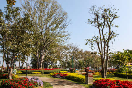One part of beautiful formal garden with blue skyの写真素材