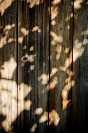 wood backgroundの写真素材