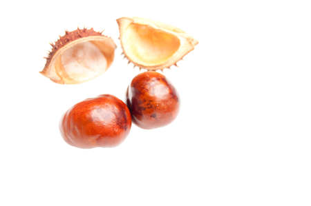 autumn decorations backround