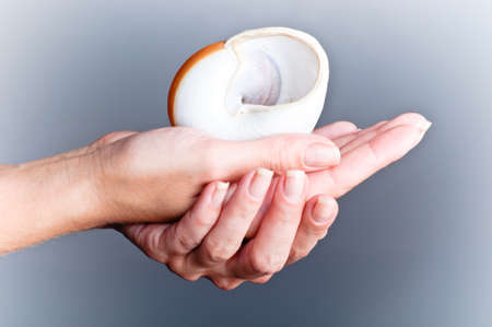 seashell in her handの写真素材