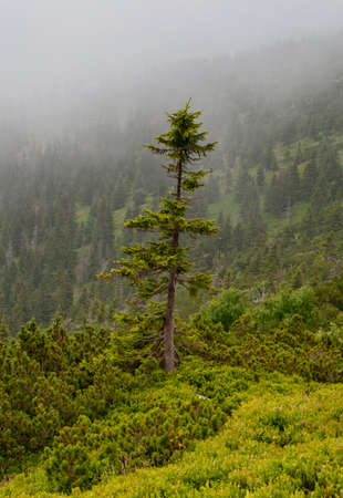 mountains landscapeの写真素材