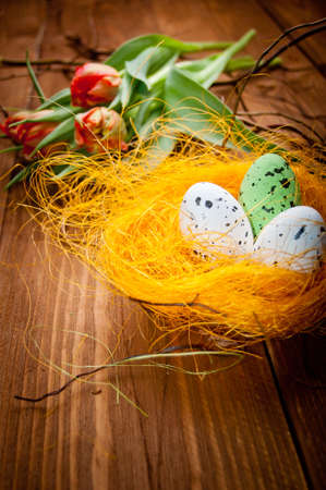 birds eggs in nest with tulip flowers on vintage wooden backgroundの写真素材