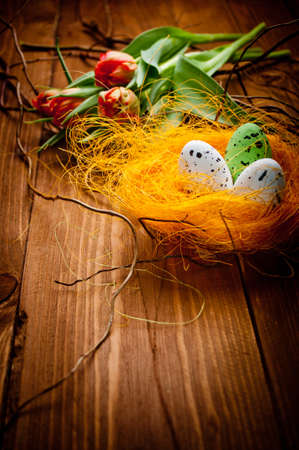 birds eggs in nest with tulip flowers on vintage wooden backgroundの写真素材