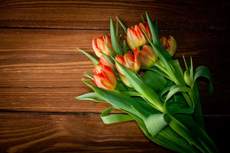 Tulips on rustic wooden tableの写真素材