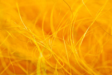 decorative stringの写真素材