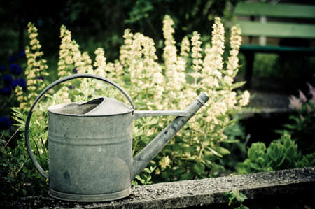 old wood background or textureの写真素材