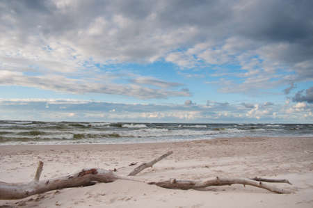 Piece of wood on a beach. Dusk at the sea.の写真素材