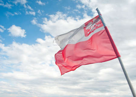 Polish flag on the background of skyの写真素材