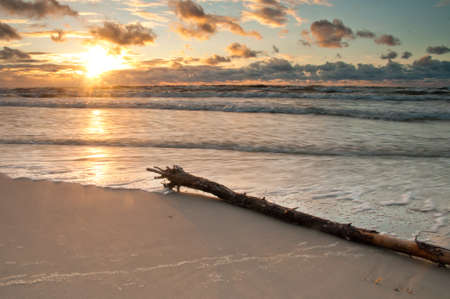 sunrise on beach with branch in foregroundの写真素材