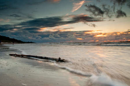 sunrise on beach with branch in foregroundの写真素材