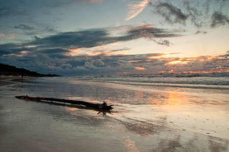 sunrise on beach with branch in foregroundの写真素材