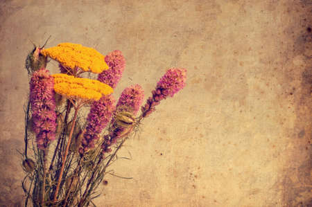 Textured old paper background with flowersの写真素材