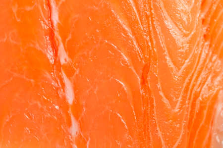 fresh salmon background