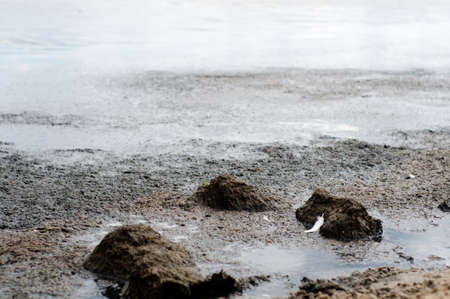 Pollution of the Baltic Sea. Sopot, Polandの写真素材