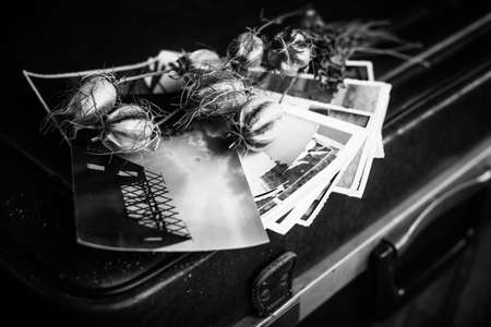 Old photographs, a camera and dried flowersの写真素材