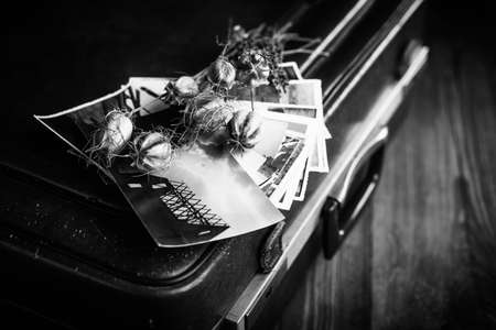 Old photographs, a camera and dried flowersの写真素材