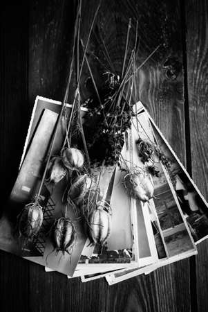 Old photographs, a camera and dried flowersの写真素材