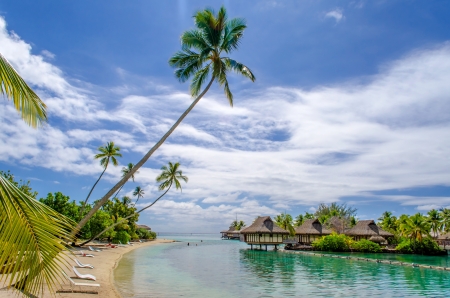 Overwater Bungalows, tropical beach, French Polynesiaの写真素材